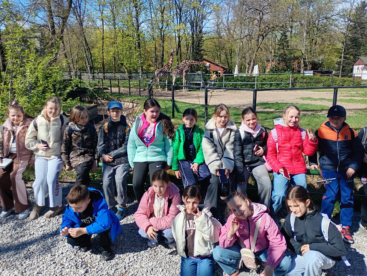 zoo