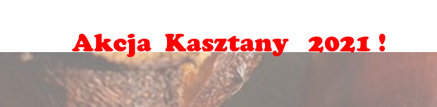 kasztany